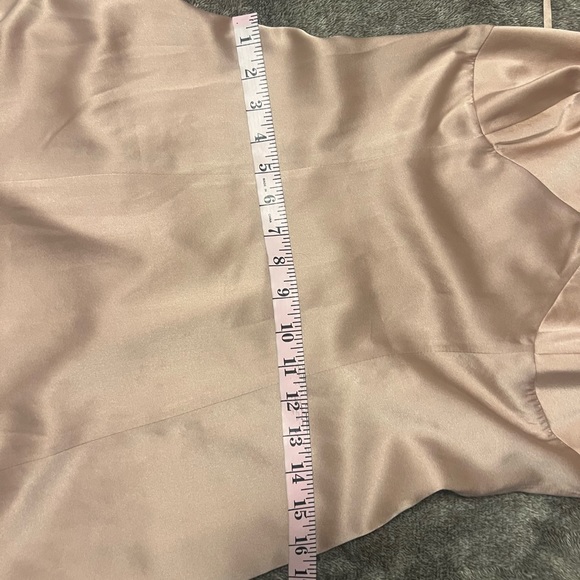 COPY - REVOLVE Pink Silk Gown - Picture 10 of 11